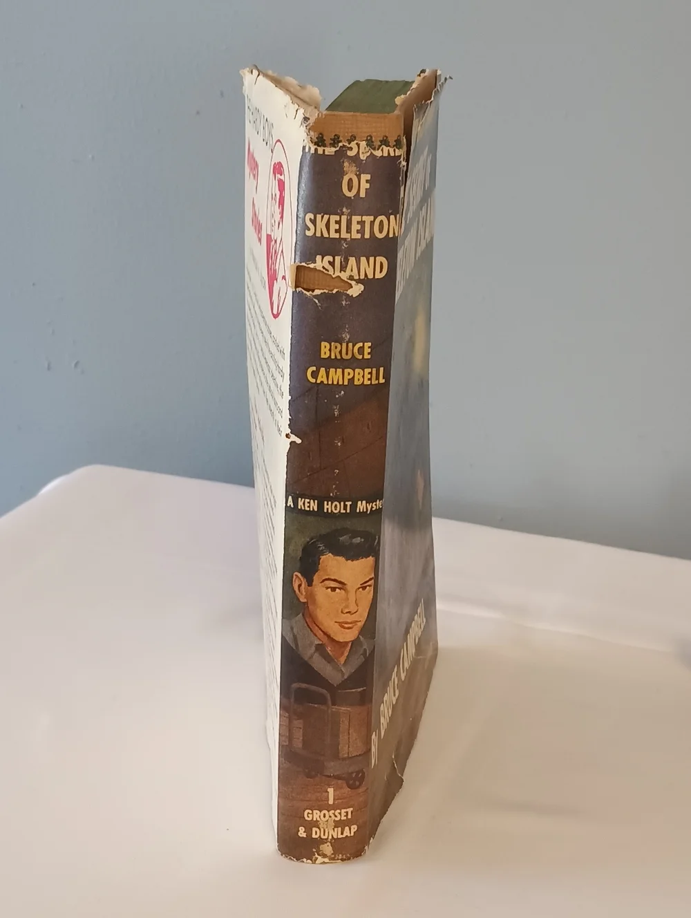 The Secret of Skeleton Island by Bruce Campbell - Vintage Mystery Hardcover